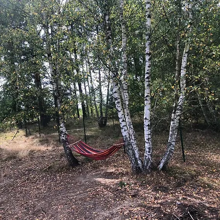 Do Wynajecia Mecikal