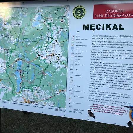 Do Wynajecia * Mecikal