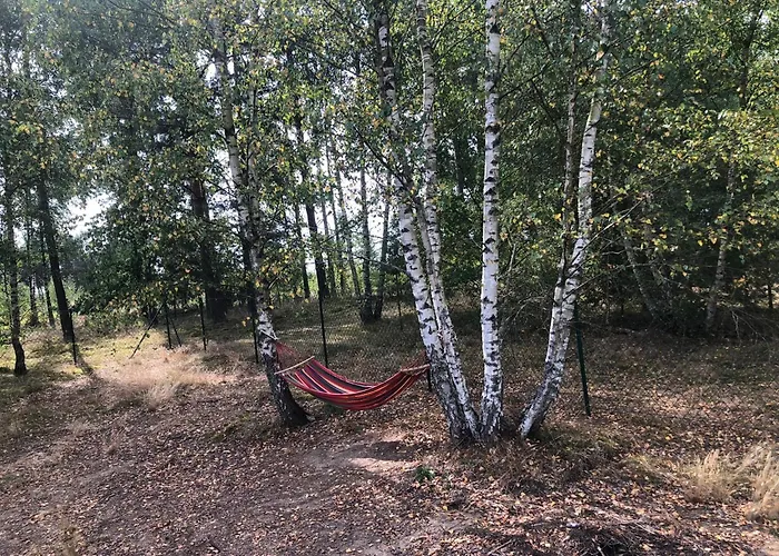 Do Wynajecia Mecikal