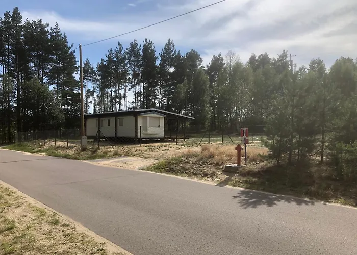 Do Wynajecia * Mecikal