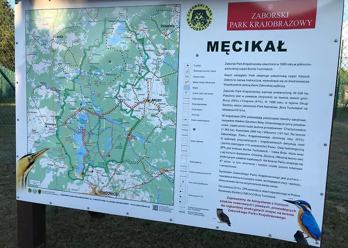 Do Wynajecia * Mecikal